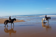 Horseback riding along the sea