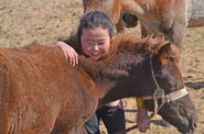 Mongolia Travel