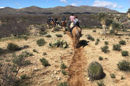 Arizona Horseriding