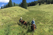 USA Horse Trekking