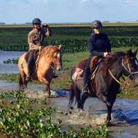 Uruguay Horseriding