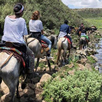 Ethiopia Riding