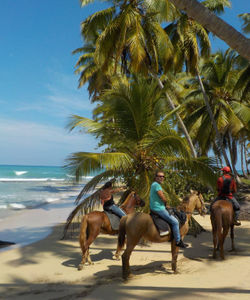 Dominican Horseriding