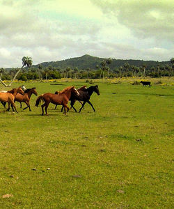 Uruguay Riding