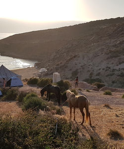 Camping in Morocco