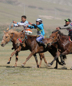 Mongolia Fests