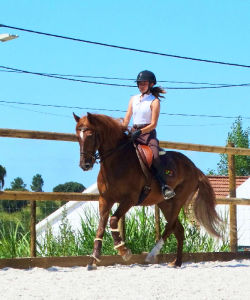 Portugal Riding Lessons