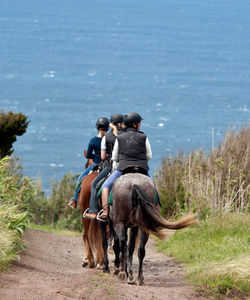 Azores Riding