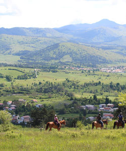 Slovenia Horseriding