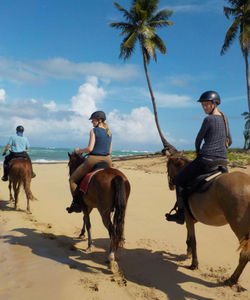 Caribbean Horseriding