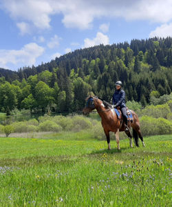 Bosnia Horseriding