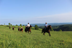 Serbia Horseriding