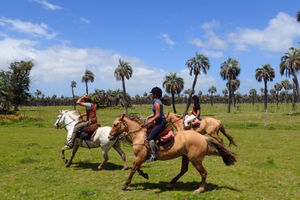 Uruguay Riding