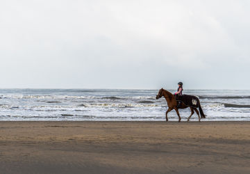 Horseback Riding Tours Along the Coasts of Europe: Where to Enjoy Beautiful Beaches and Seascapes on Horseback