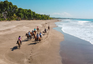 Exploring the World on Horseback: 20 Amazing Locations for Horse Riding Adventures