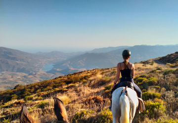 Immersion into the World of Horse Tourism in Spain