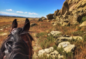 How to Prepare for a Horseback Riding Vacation