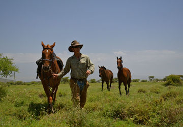 Africa on Horseback: Best Places for an Unforgettable Horse Safari