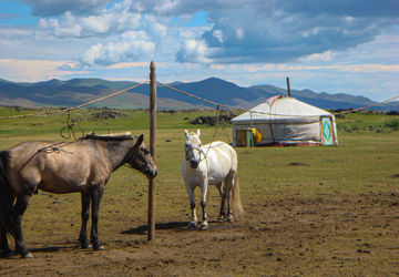 Across Mongolia on Horseback: Equestrian Culture and the Best Locations for Horse Riding