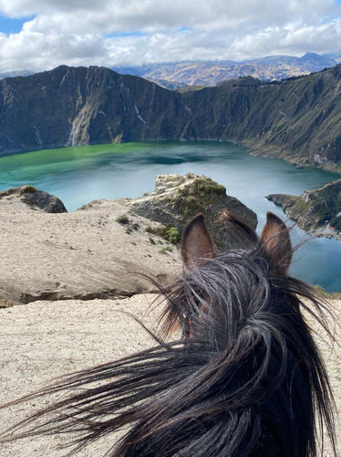 Saddle Serenity: Discover the Beauty of Horseback Riding in South America