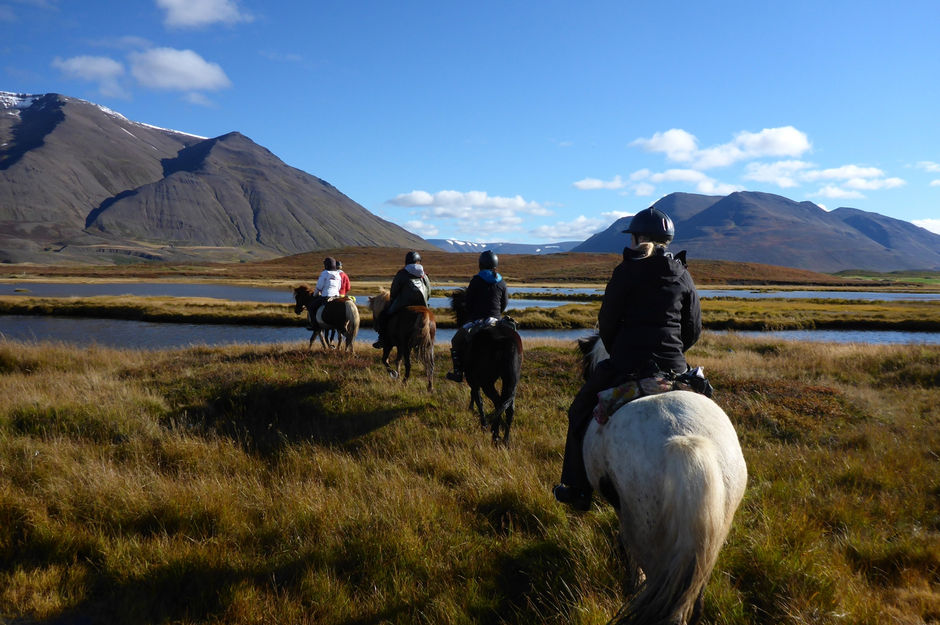 Horse riders in Iceland