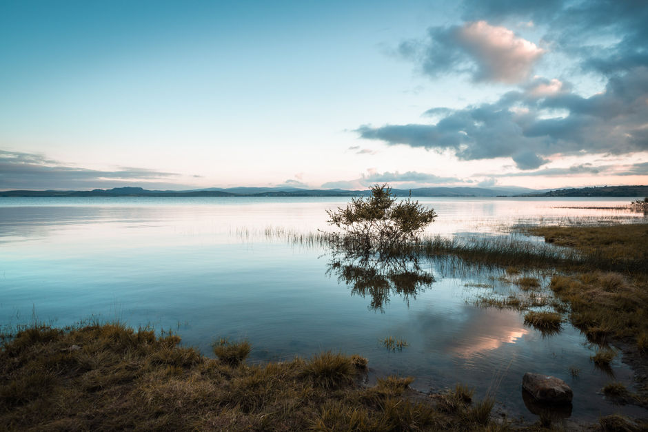 Natural swamps in Spain