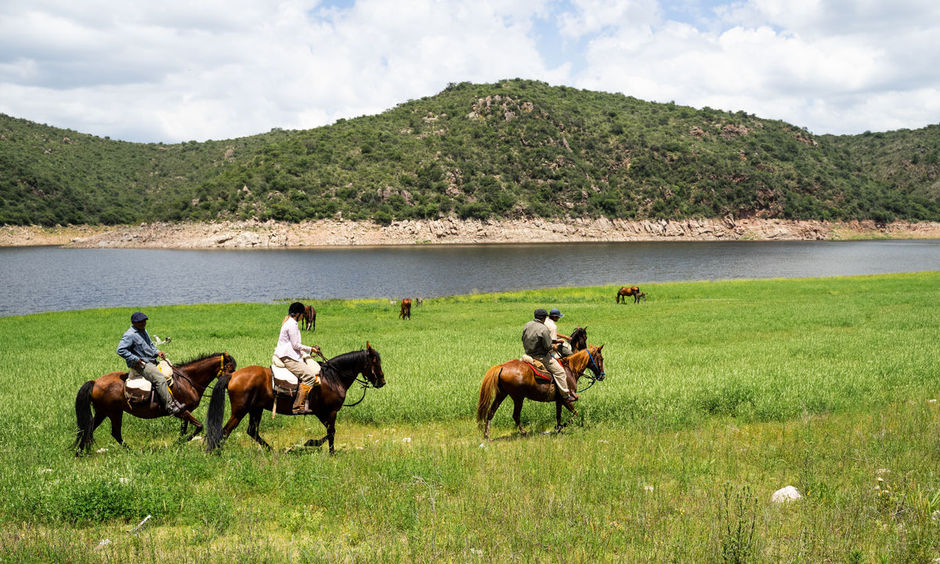 Horseback in Argentina