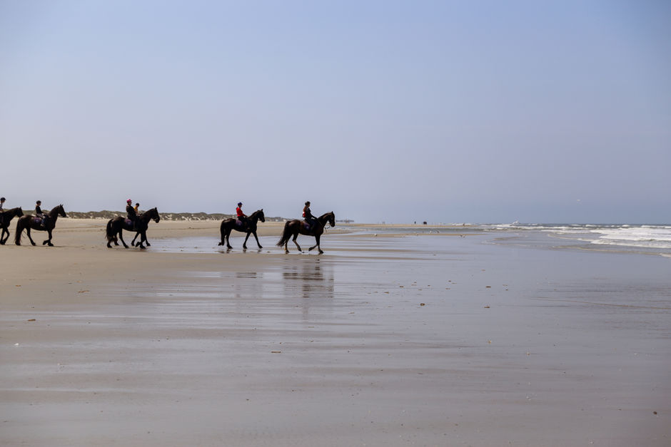 A group of horse riders on the beach of Terschelling Island