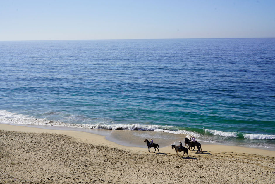 A group of people riding horses on the beach