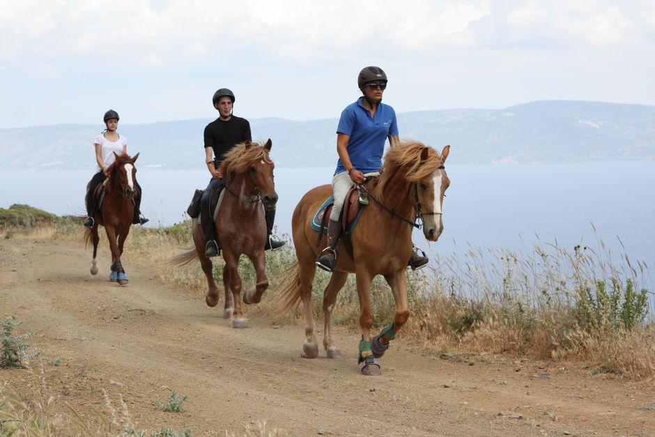 Horse riders move against the background of the sea and mountains in Greece