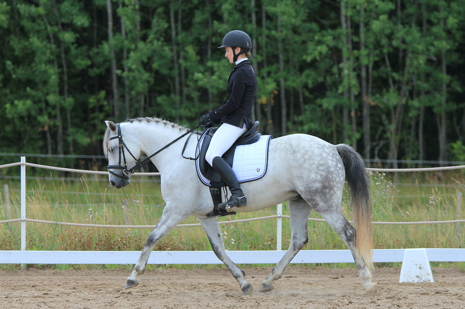 A girl riding a horse