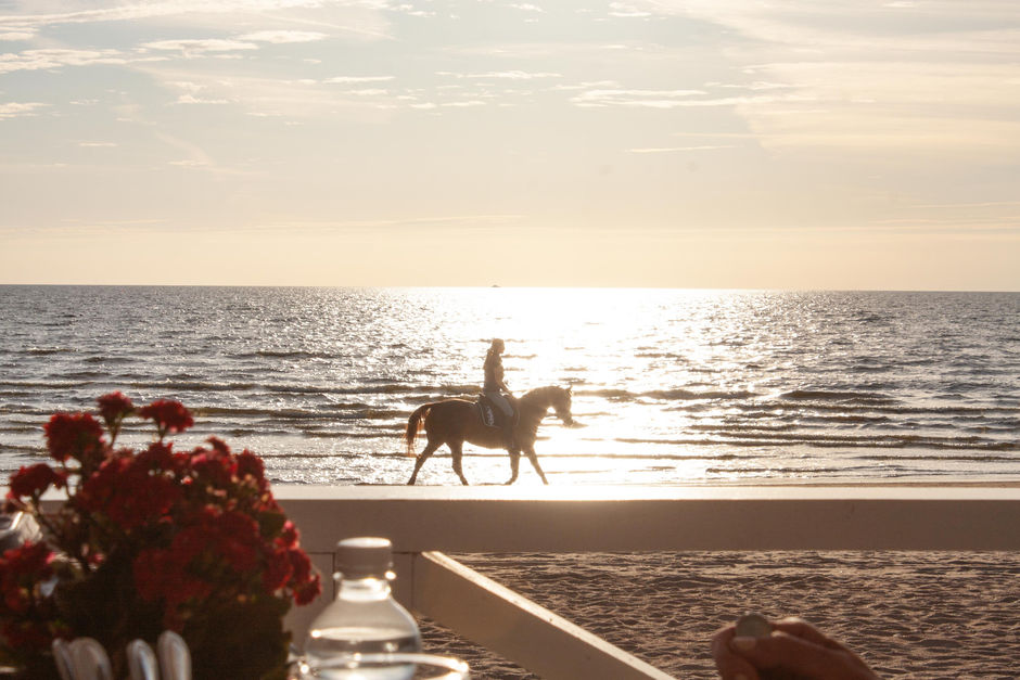 Woman on horse at the beach at sunset