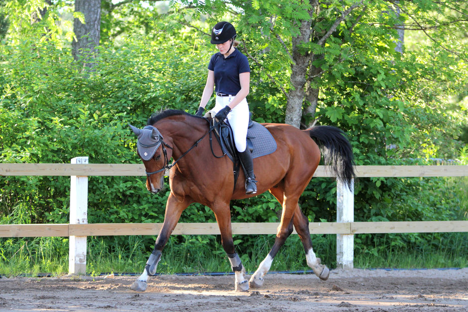 A girl in equipment on a horse